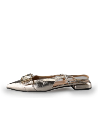 Notre-V Pumps
