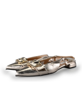 Notre-V Pumps