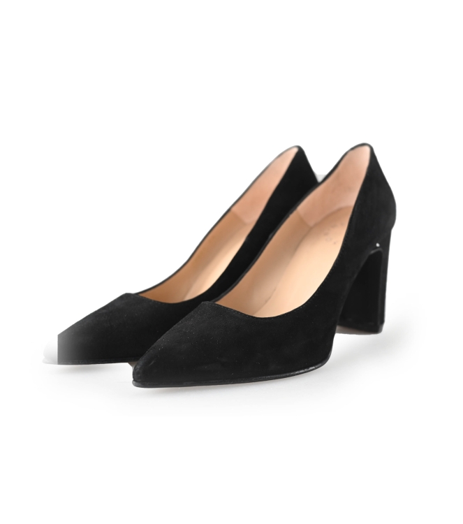 Nelson Pumps