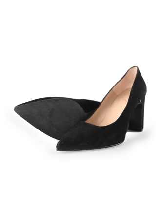 Nelson Pumps