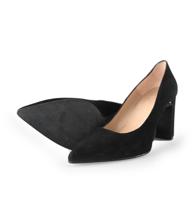 Nelson Pumps