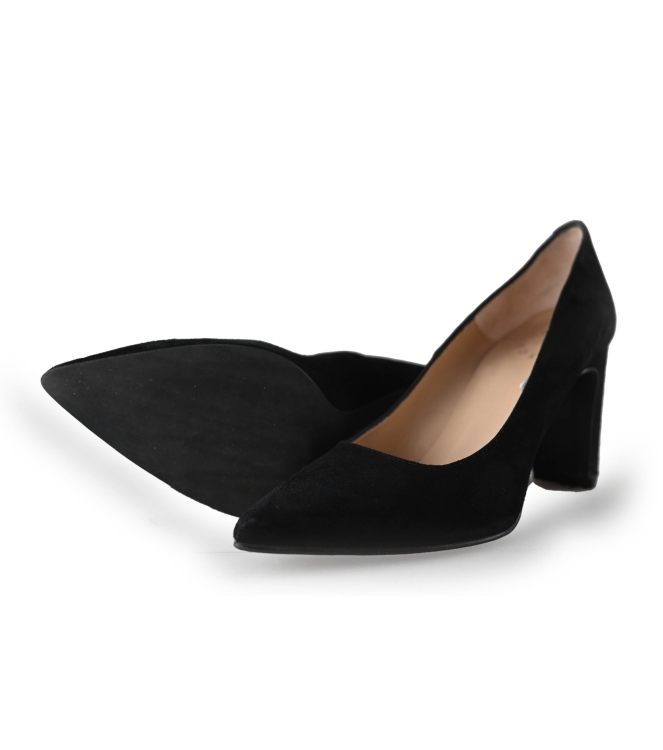 Nelson Pumps