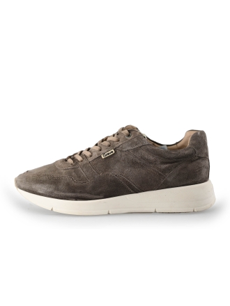 Greve Sneakers Bruin 222016