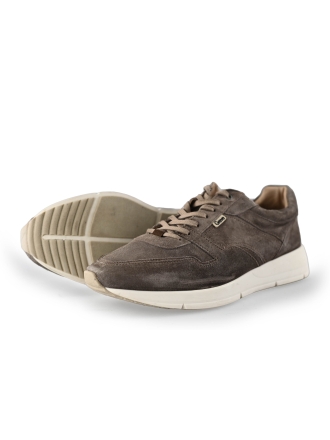 Greve Sneakers
