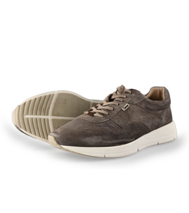 Greve Sneakers