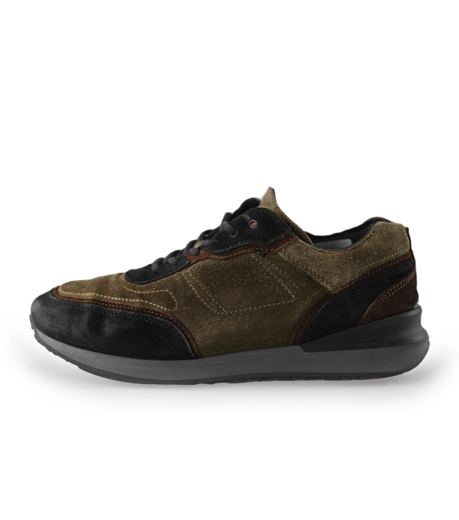 Greve Sneakers