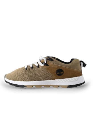 Timberland Sneakers