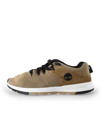 Timberland Sneakers