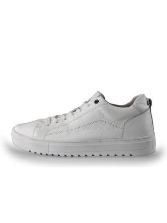 Nelson Sneakers Wit 228151