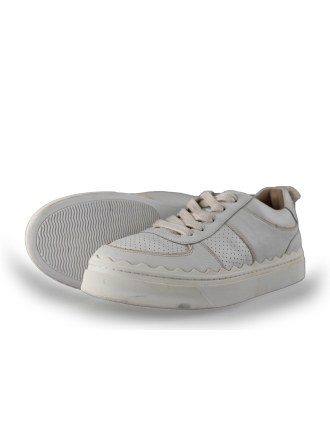 Chloe Sneakers