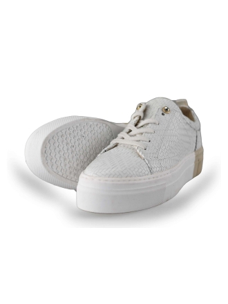 RDA Sneakers