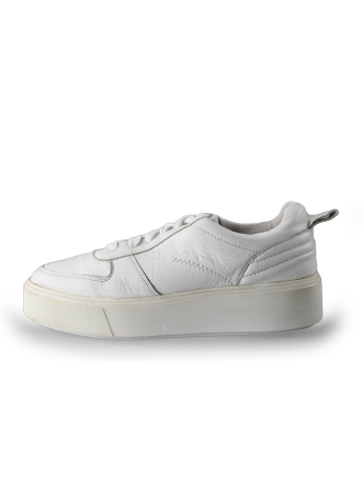 Sacha Sneakers
