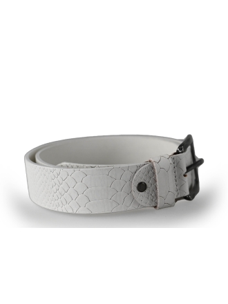 Ziengs Riem Wit 238154