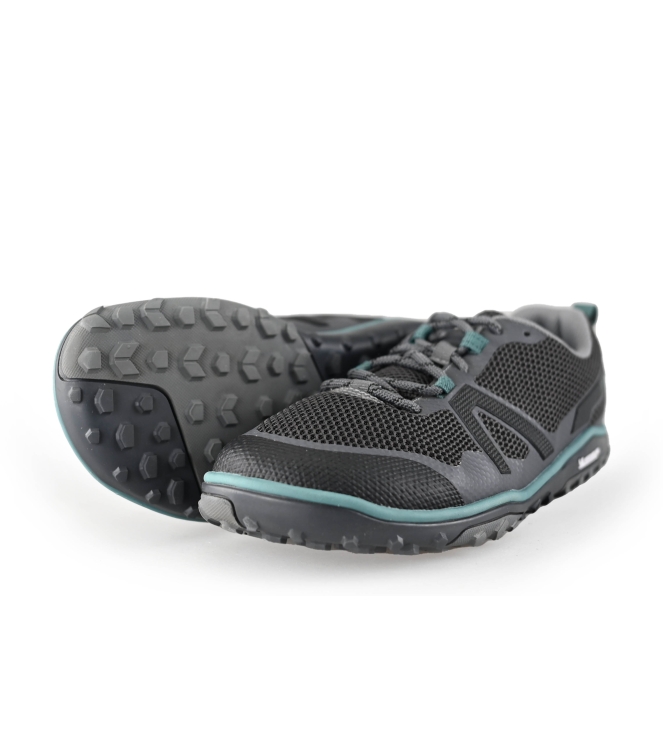 Xero Sneakers