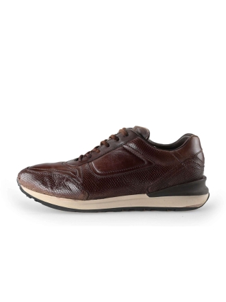 Greve Sneakers