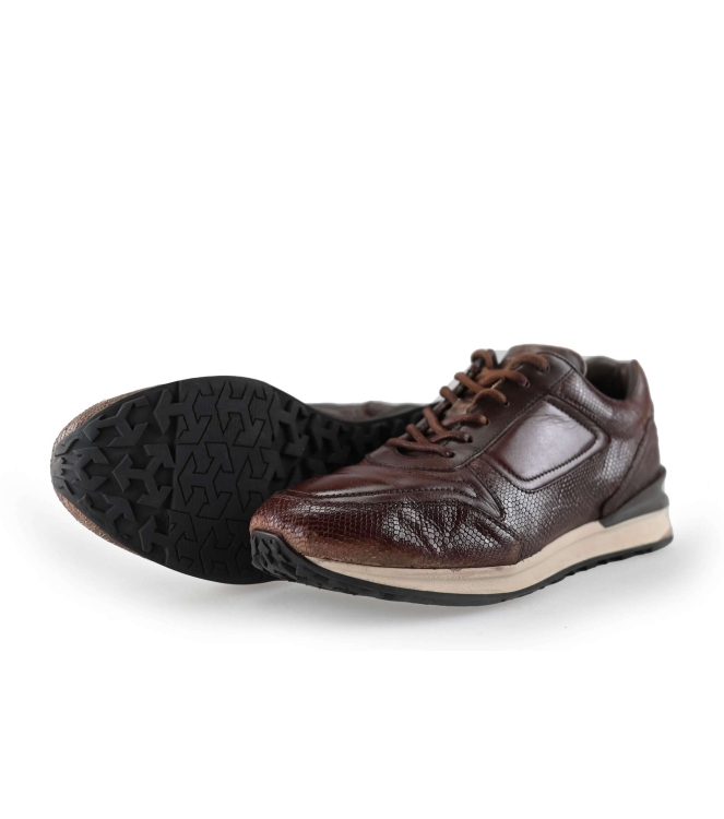 Greve Sneakers