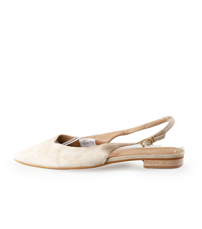 Notre-V Pumps