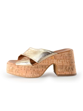 Notre-V Pumps