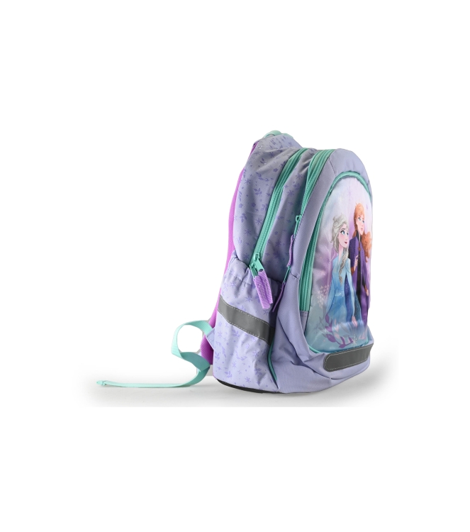 Frozen Tas