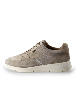 Greve Sneakers Beige 234500
