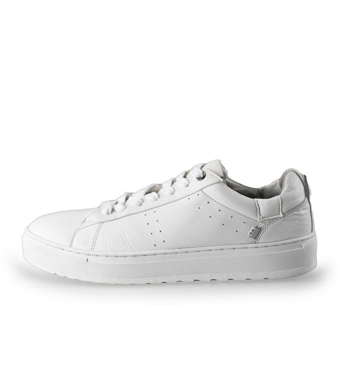 J.C. Rags Sneakers