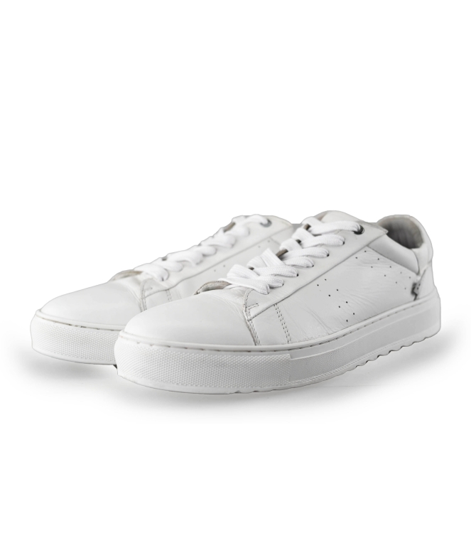 J.C. Rags Sneakers
