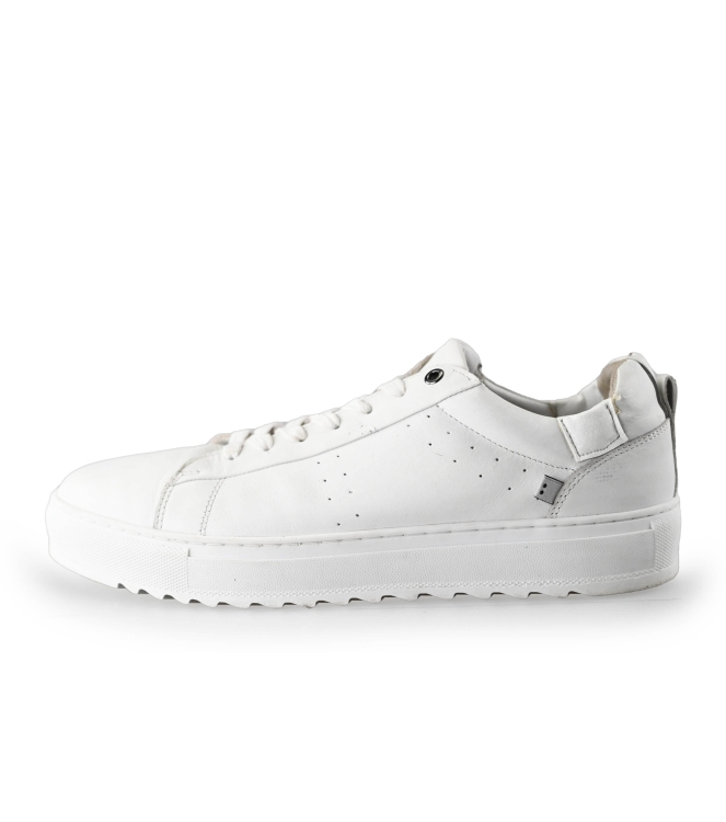 J.C. Rags Sneakers
