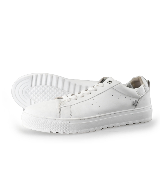 J.C. Rags Sneakers
