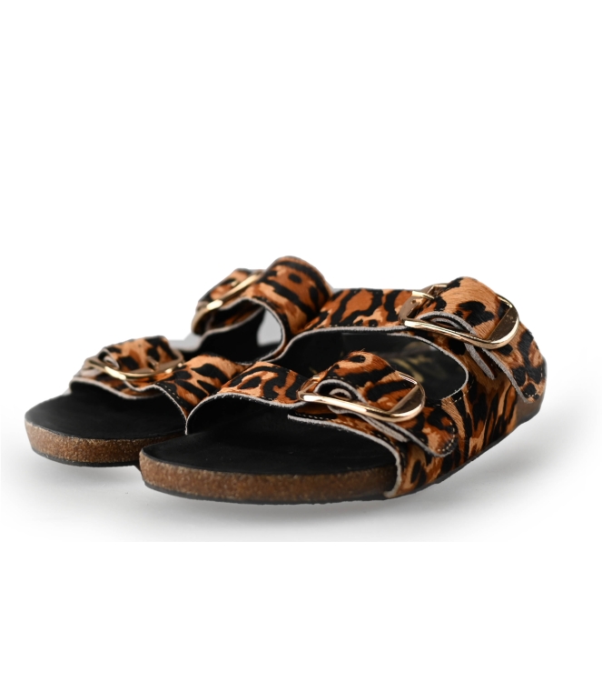 Sacha Slippers