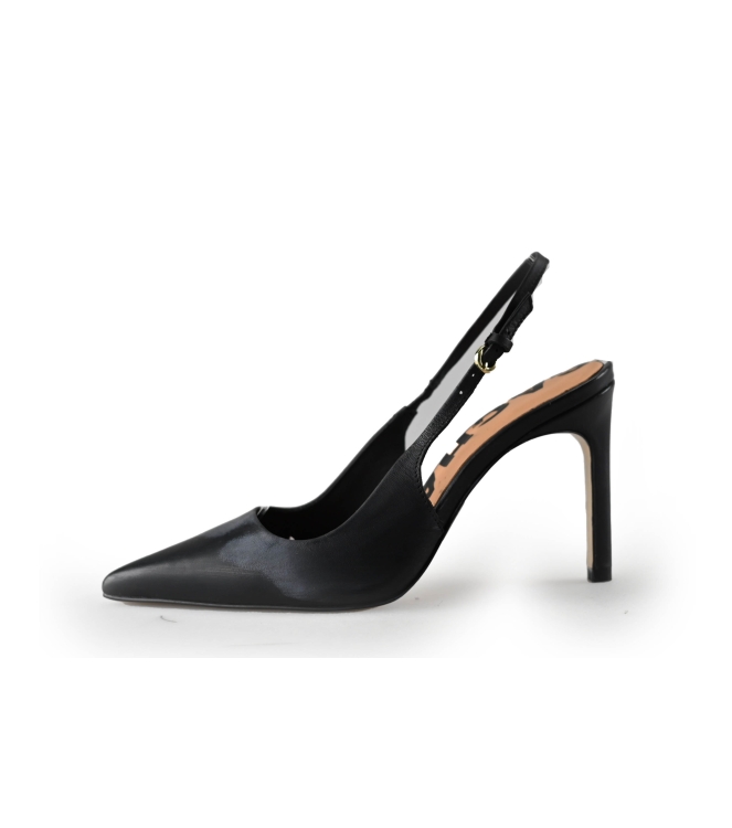 Sacha Pumps