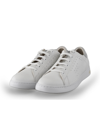 Geox Sneakers Wit 239205