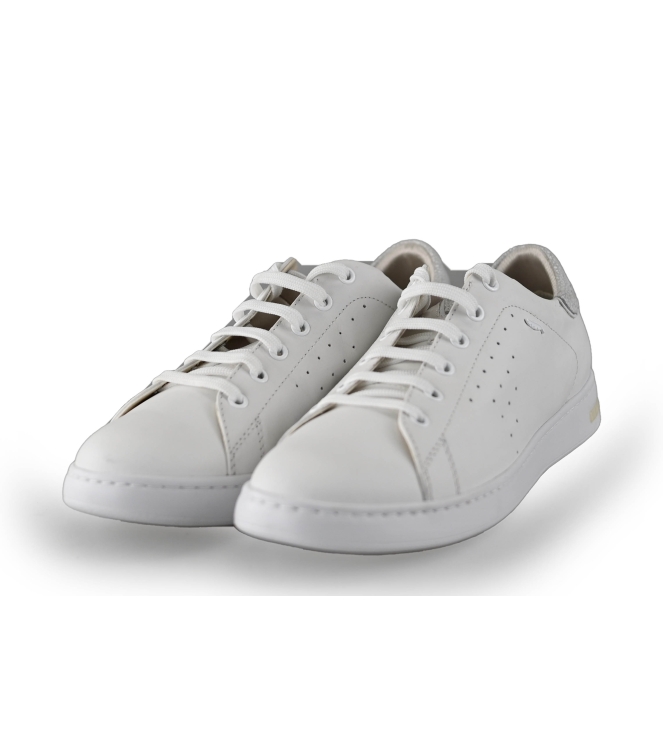 Geox Sneakers