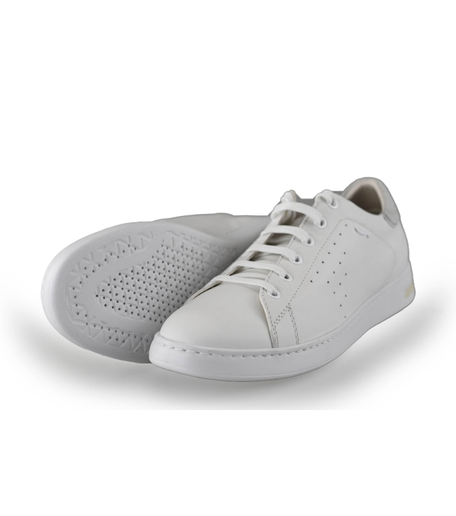 Geox Sneakers