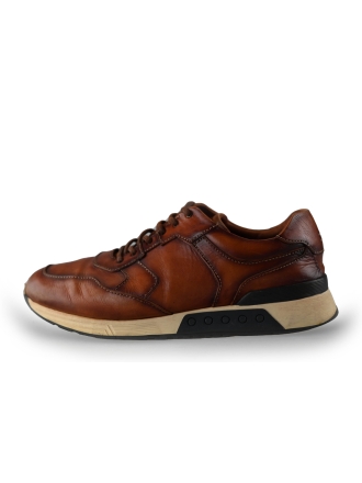 Greve Sneakers Bruin 239729