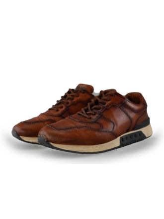 Greve Sneakers Bruin 239729