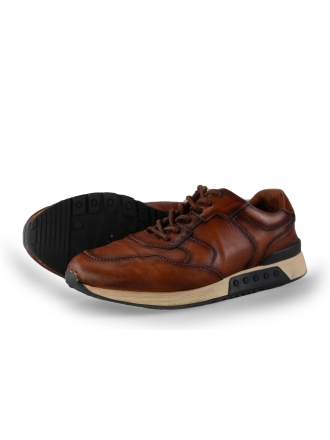Greve Sneakers