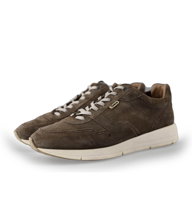 Greve Sneakers