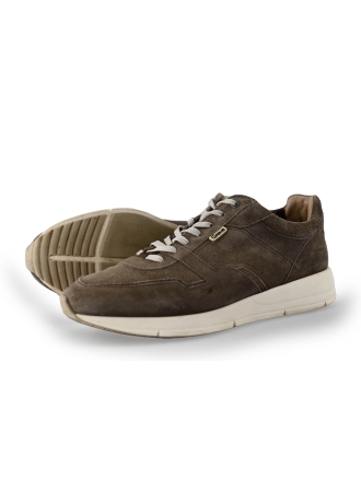 Greve Sneakers