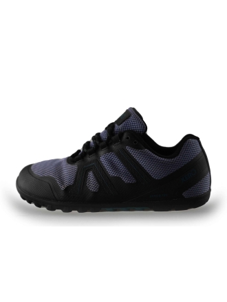 xero shoes Sneakers Paars 241614