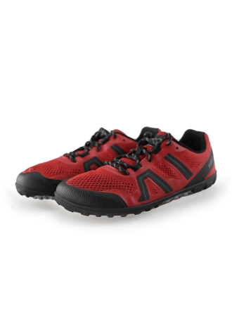 xero shoes Sneakers