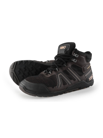 Xero Sneakers