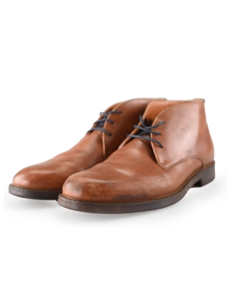 Vanlier Bruin 243829