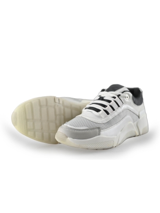 Dolcis Sneakers