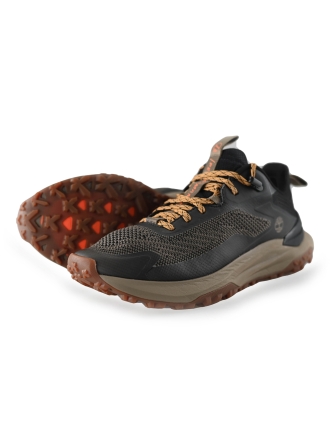 Timberland Sneakers