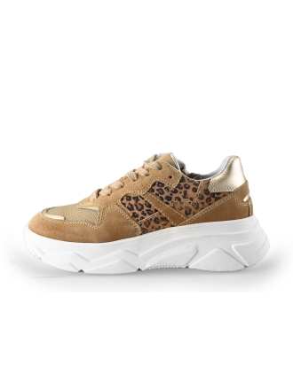 District Sneakers Bruin 245914