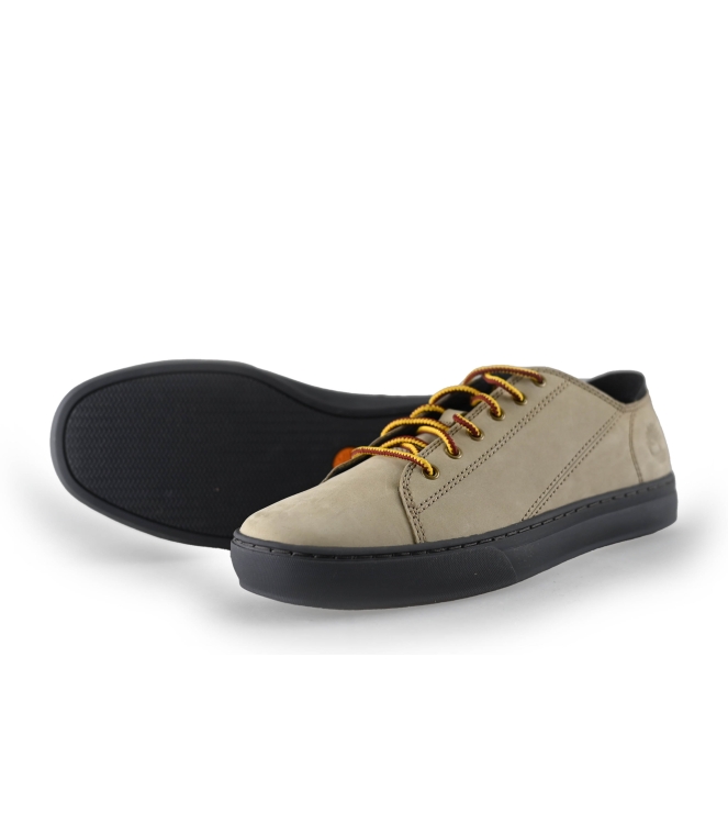 Timberland Sneakers