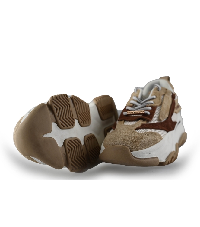 Steve Madden Sneakers