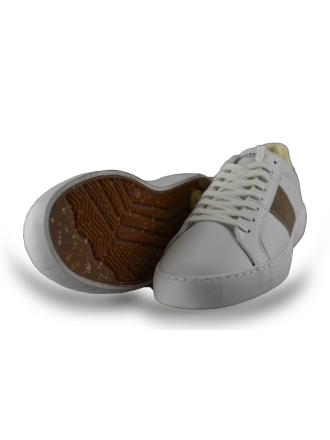 Scotch Soda Sneakers