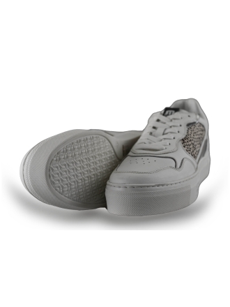 Maruti Sneakers