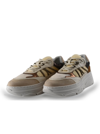 Nelson Sneakers Beige 250081